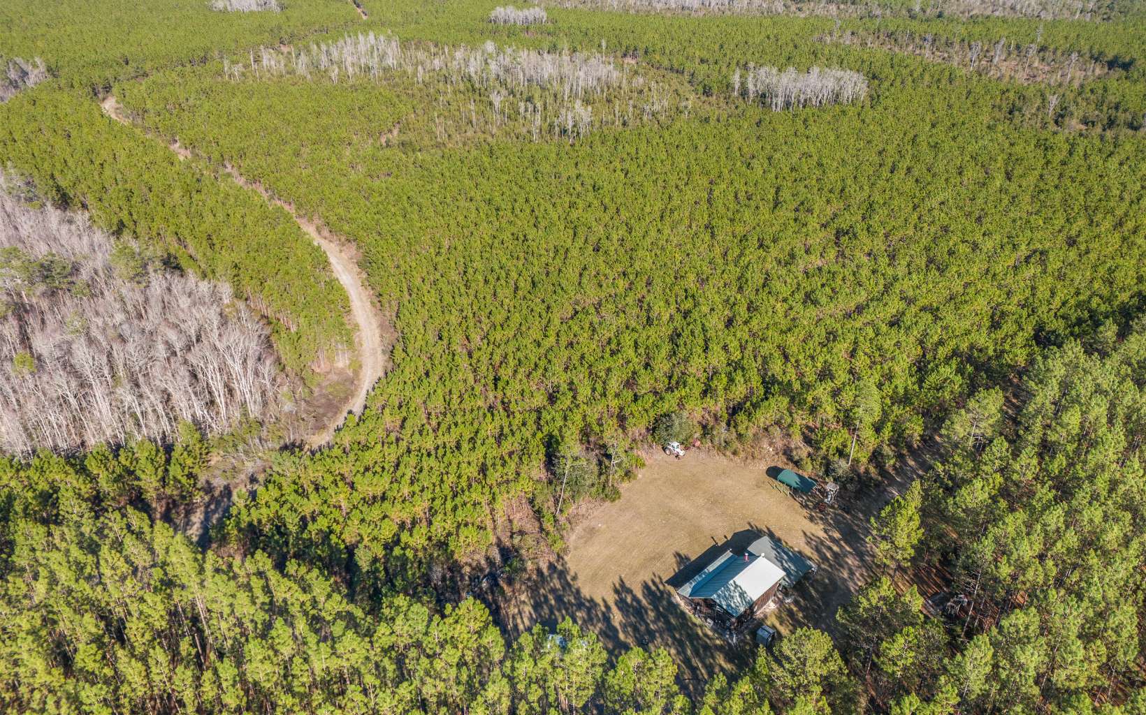 Immerse yourself in the ultimate outdoor retreat with this expansive 2,504± acre prime hunting property located in the heart of North Florida. A haven for nature enthusiasts, this land is teeming with abundant wildlife, including deer, turkey, and even bear, making it a hunter's dream. The diverse landscape offers a unique blend of land covers, including pines, woody wetlands, shrub/scrub, grasslands, and dense forest. Well-maintained roads and trails wind throughout the property, providing easy access to explore its vast natural beauty. Nestled amidst this serene property is a charming 1-bedroom, 1-bath cedar-sided cabin, perfect for a cozy retreat or hunting lodge. The property also features three RV hookups, offering additional accommodations for guests or hunting parties. Whether you’re seeking a private escape, a recreational haven, or an investment in untouched land, this property delivers unparalleled opportunities to experience Florida’s rich outdoor lifestyle.