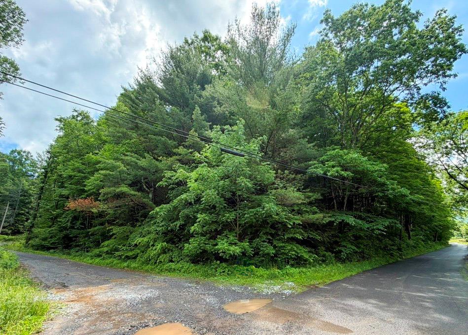 Elevated wooded building lot surrounded by the natural beauty of Washington County, VA. Set on more than 3 acres, this property offers a potential cabin site tucked above the road with easy access to both mountain and water recreational opportunities. A small creek borders the property, and the mature mix of pine and hardwoods adds privacy and natural character and may become part of the homestead project. With frontage on both Doubletree Drive and Mill Creek Road, the lot provides convenient access while maintaining a peaceful setting shared with abundant local wildlife. Bring your log home plans and schedule a showing soon. This scenic mountain-view property is also conveniently located near I-81 and several nearby towns for shopping and everyday needs.