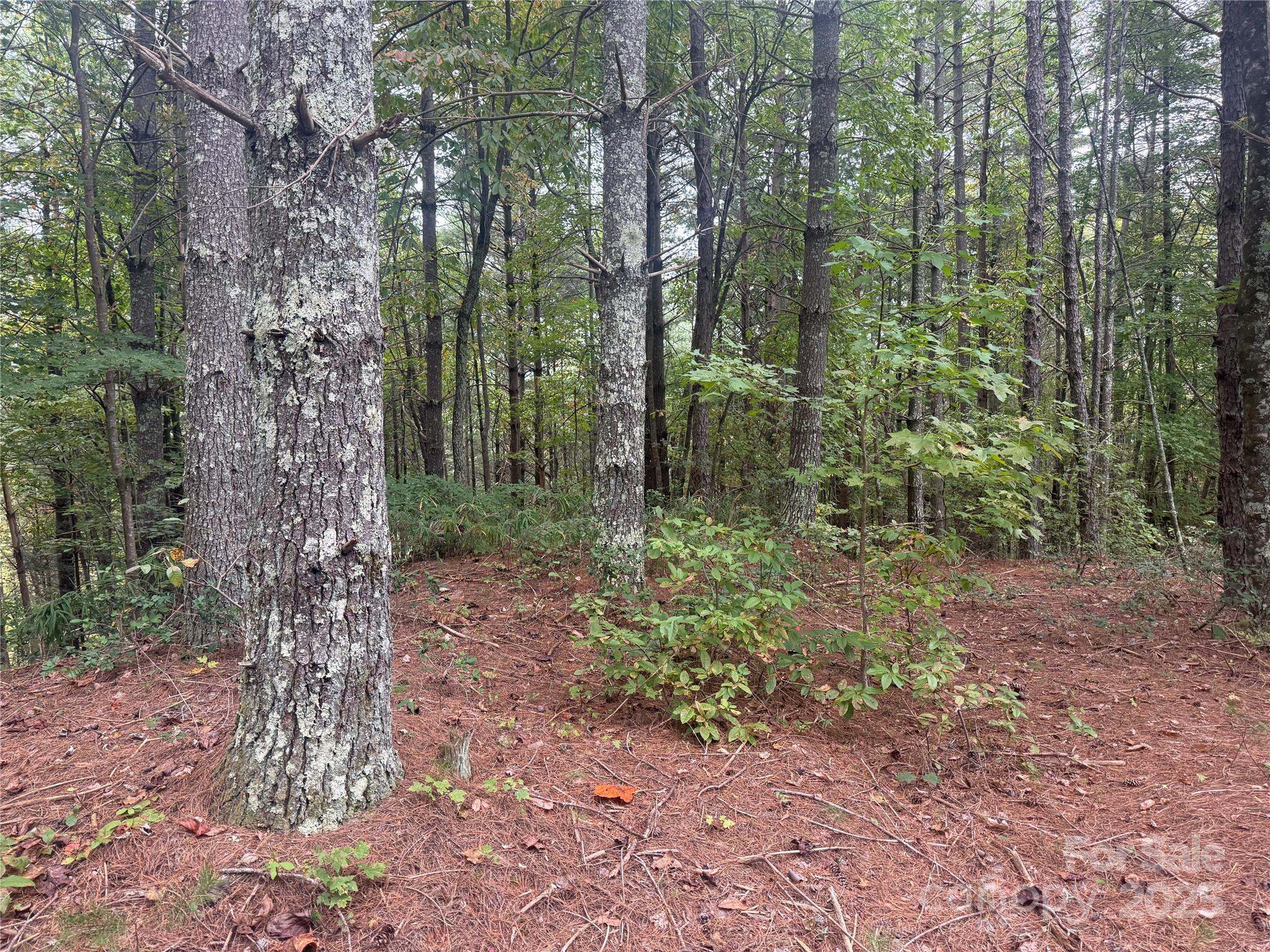 9587 Shortoff View Terrace 57