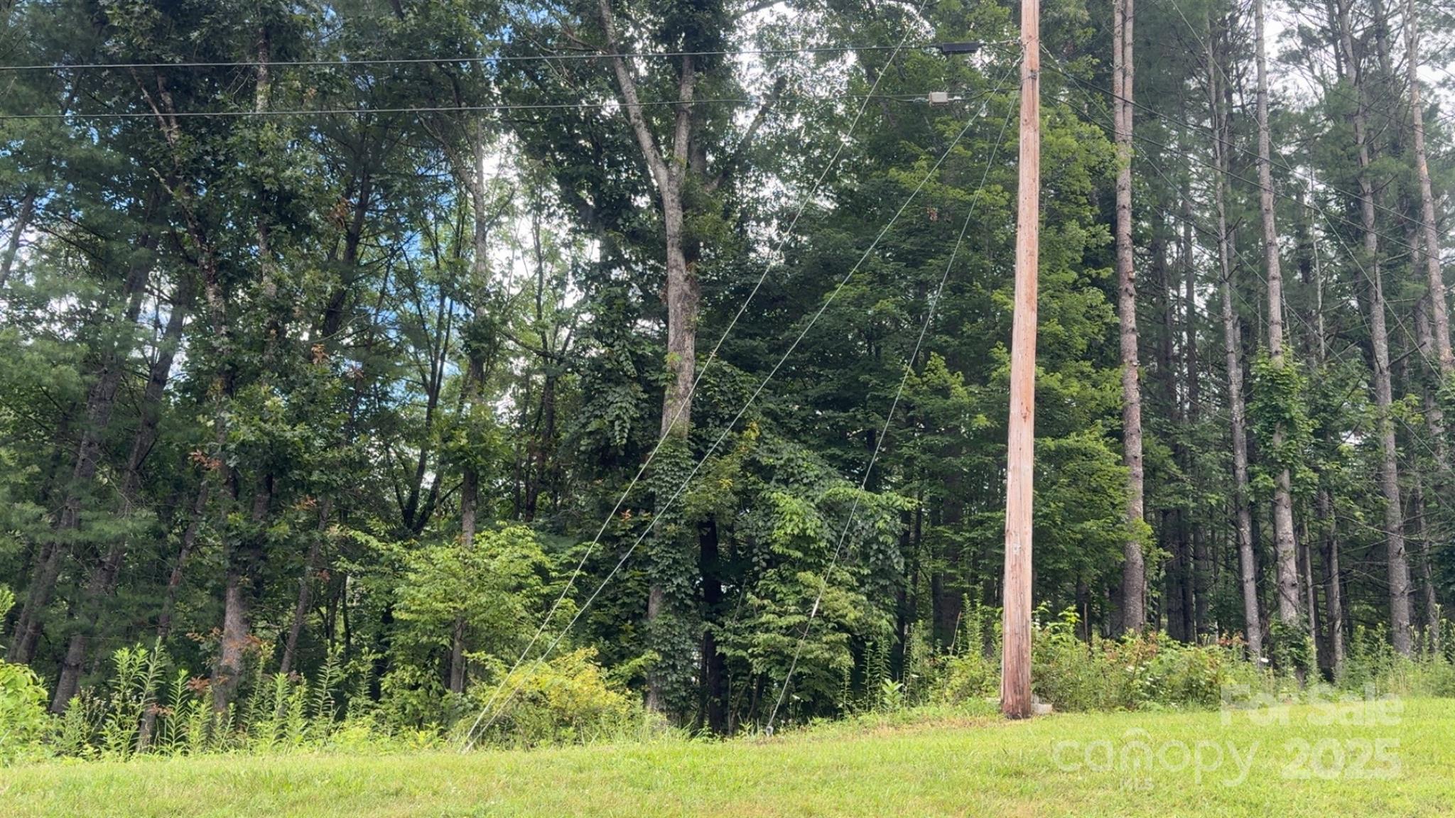 456 Duck Branch Road