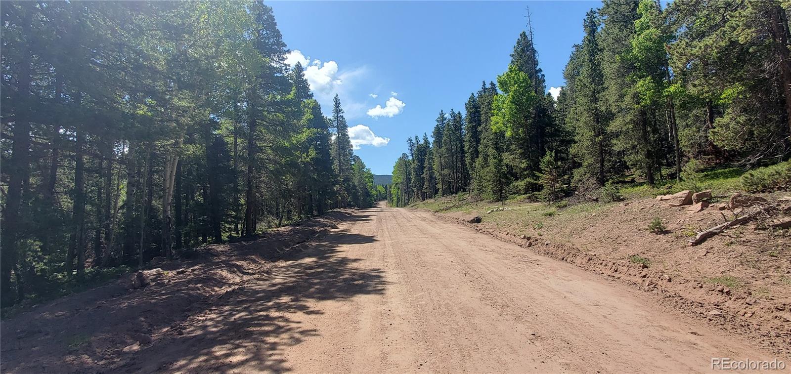 Lot 2914 Forbes Loop