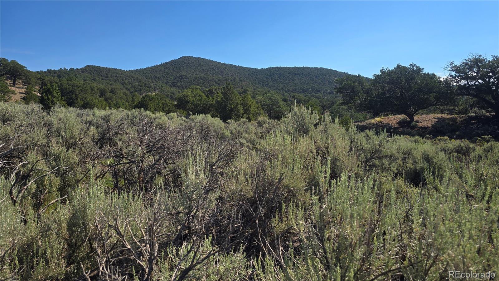 Lot 4296 Renfield Road