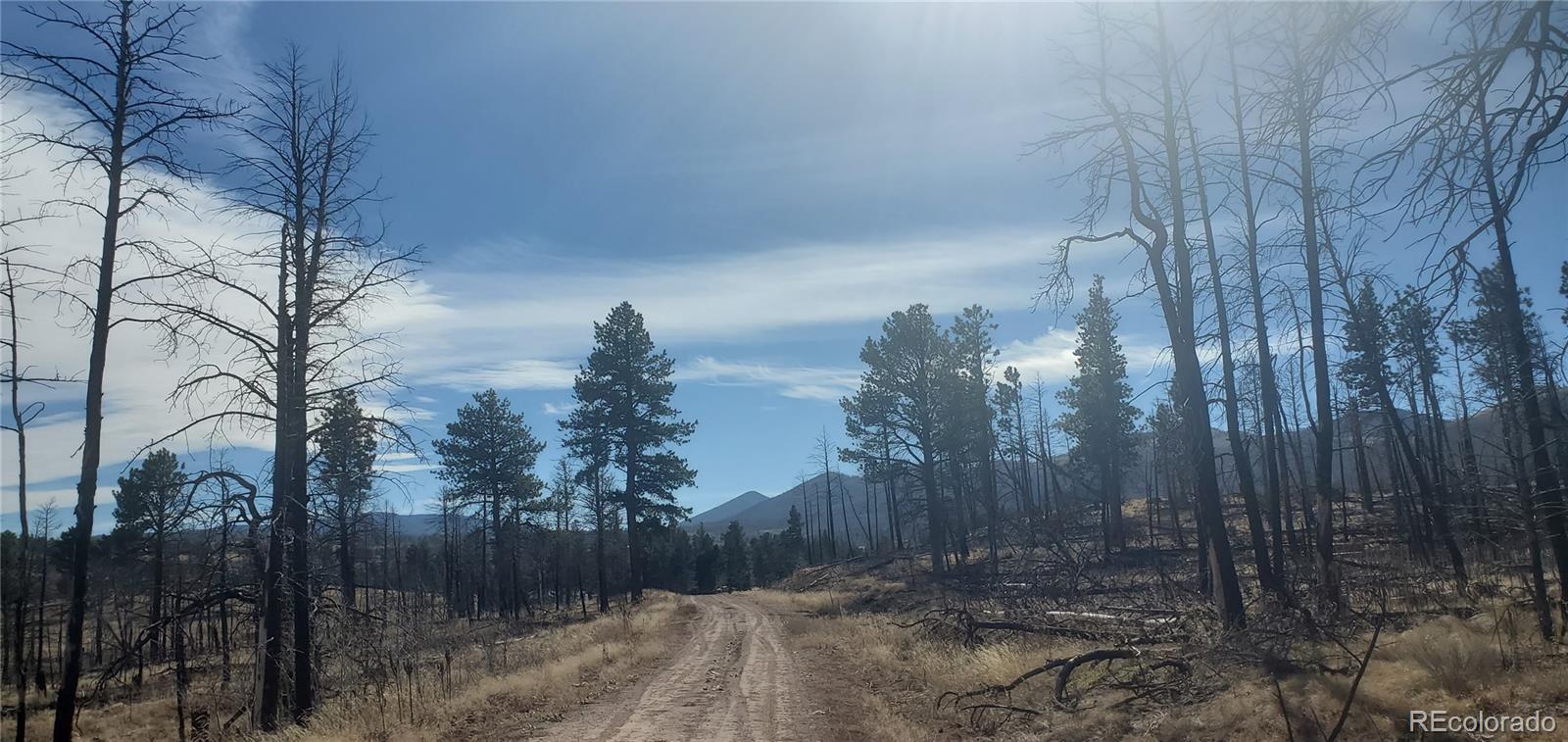 Lot 585 Leslie Loop
