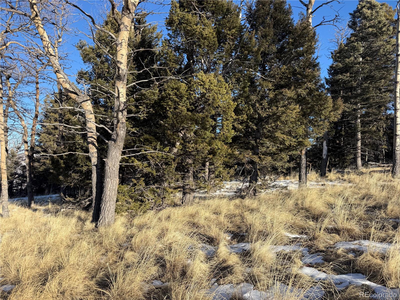 Lot 499 Collinson Drive