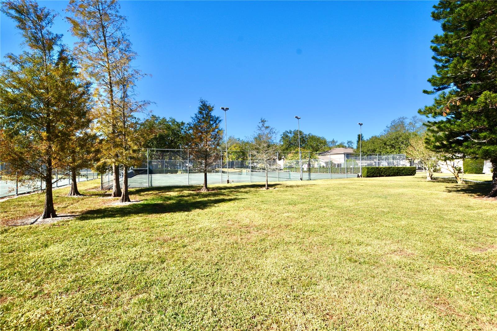 11822 Raintree Drive