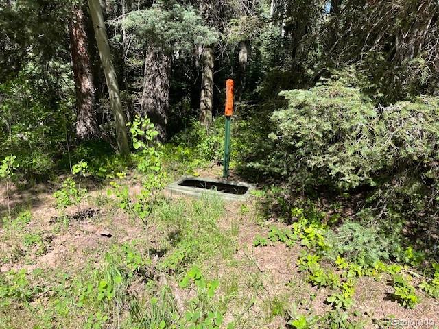 Lot 2893 Coder Place