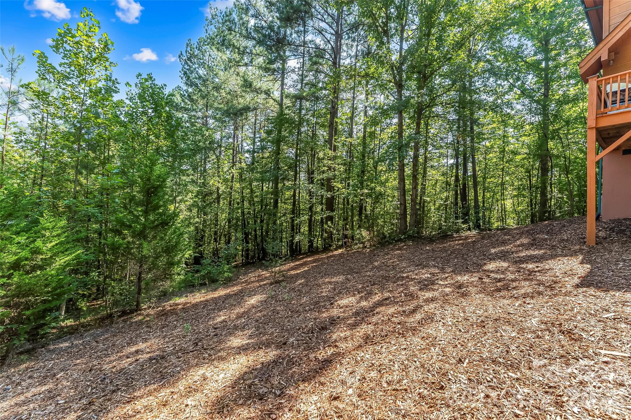 77 Dunn Trail
