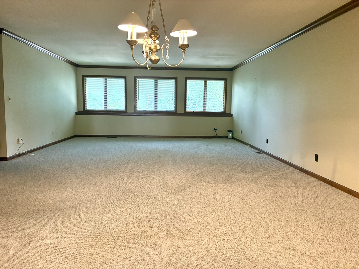 503 Donegal Drive