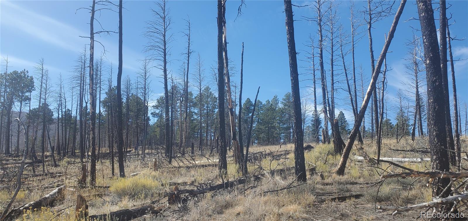 Lot 585 Leslie Loop