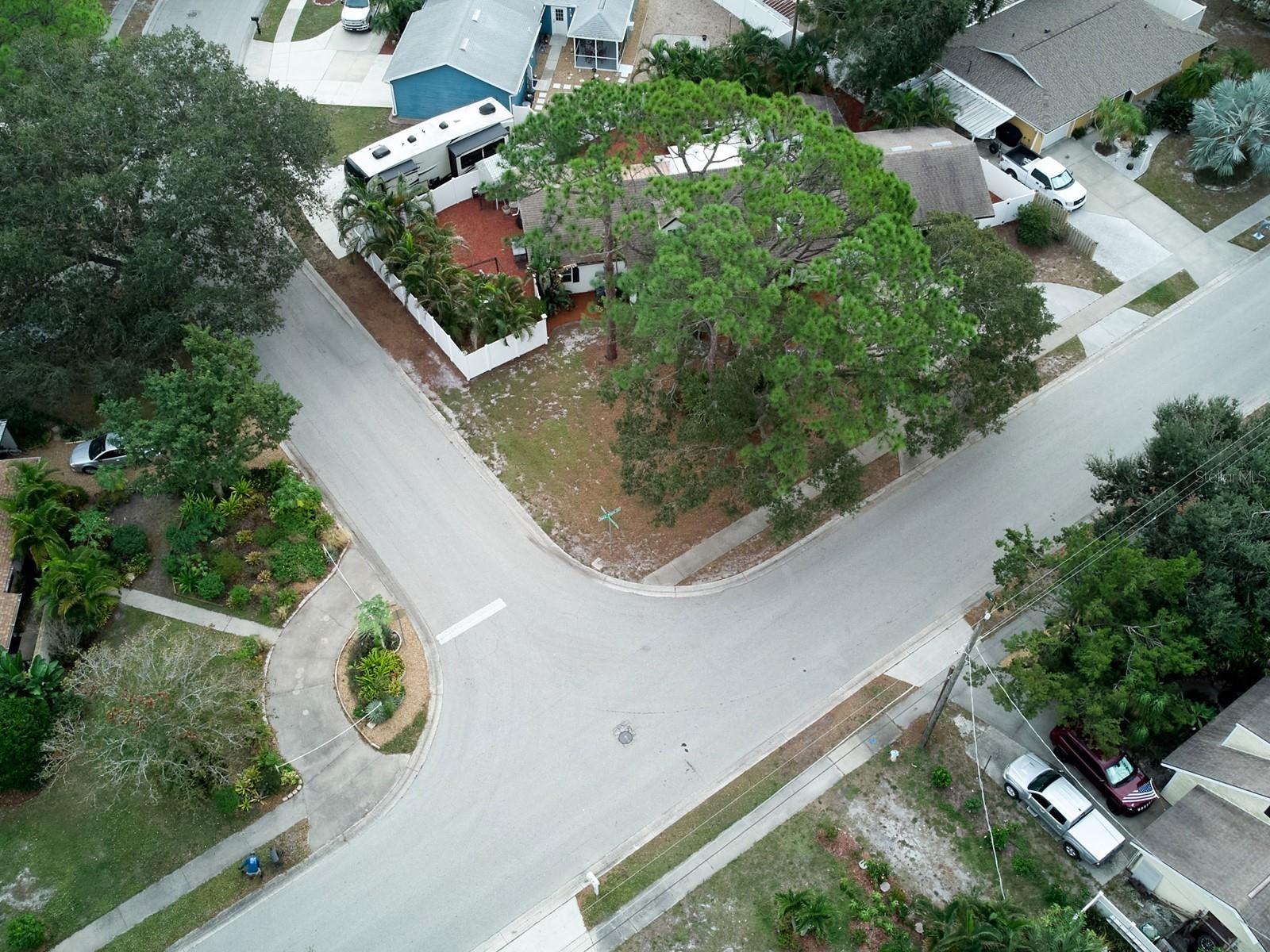 2415 Java Plum Avenue