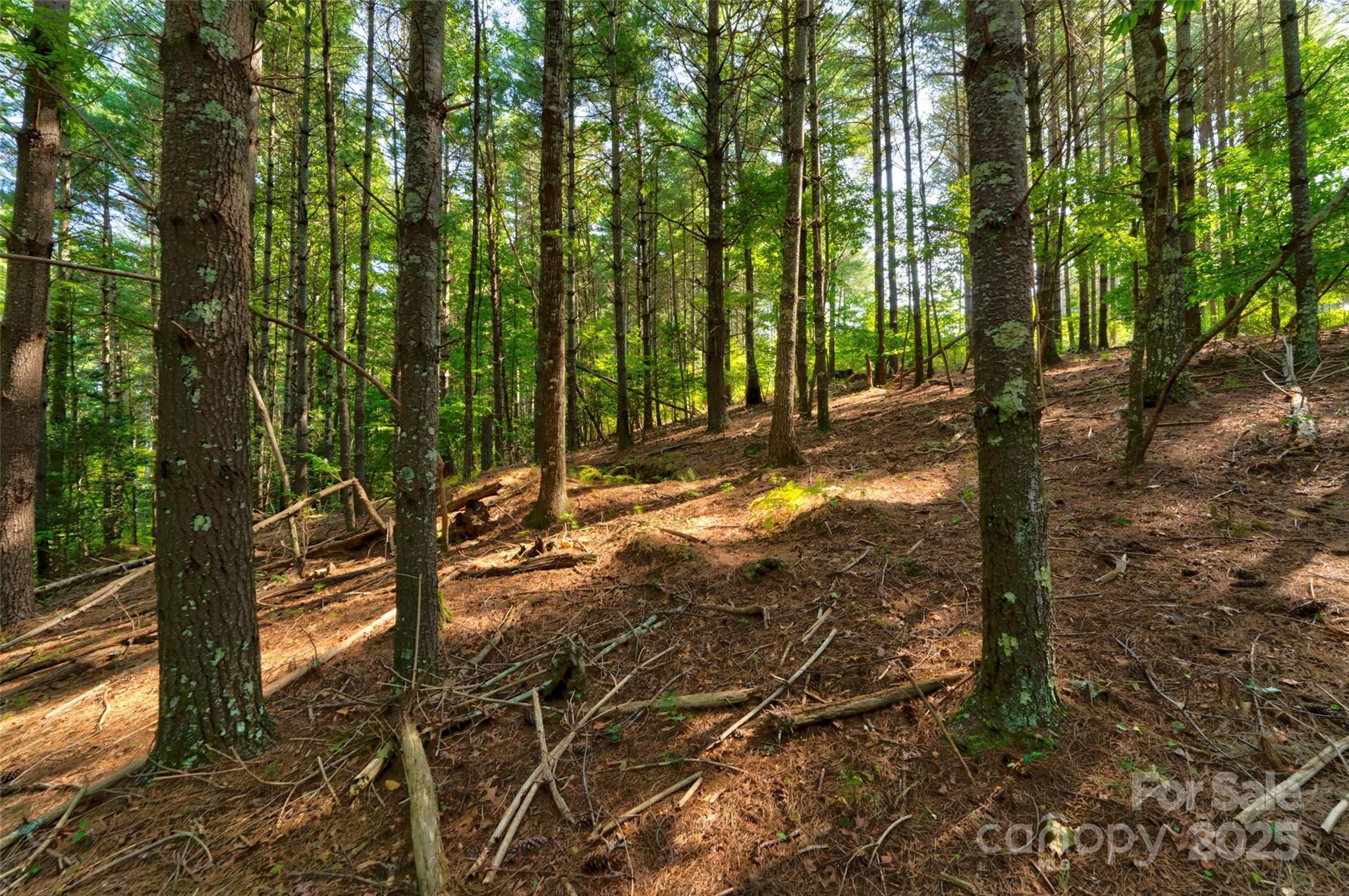 77 Whispering Pines Trail 82