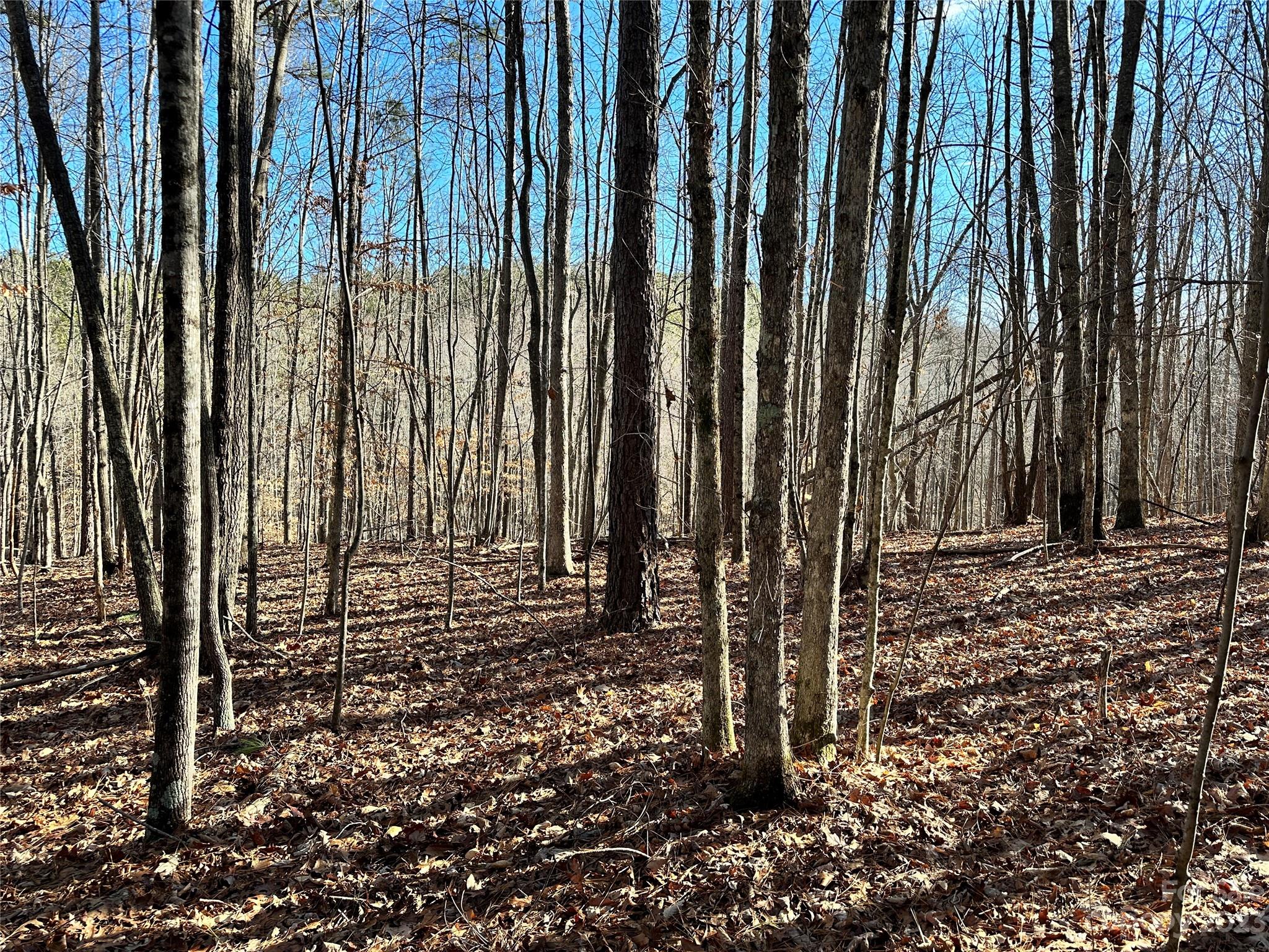 109 Highland Trail 471