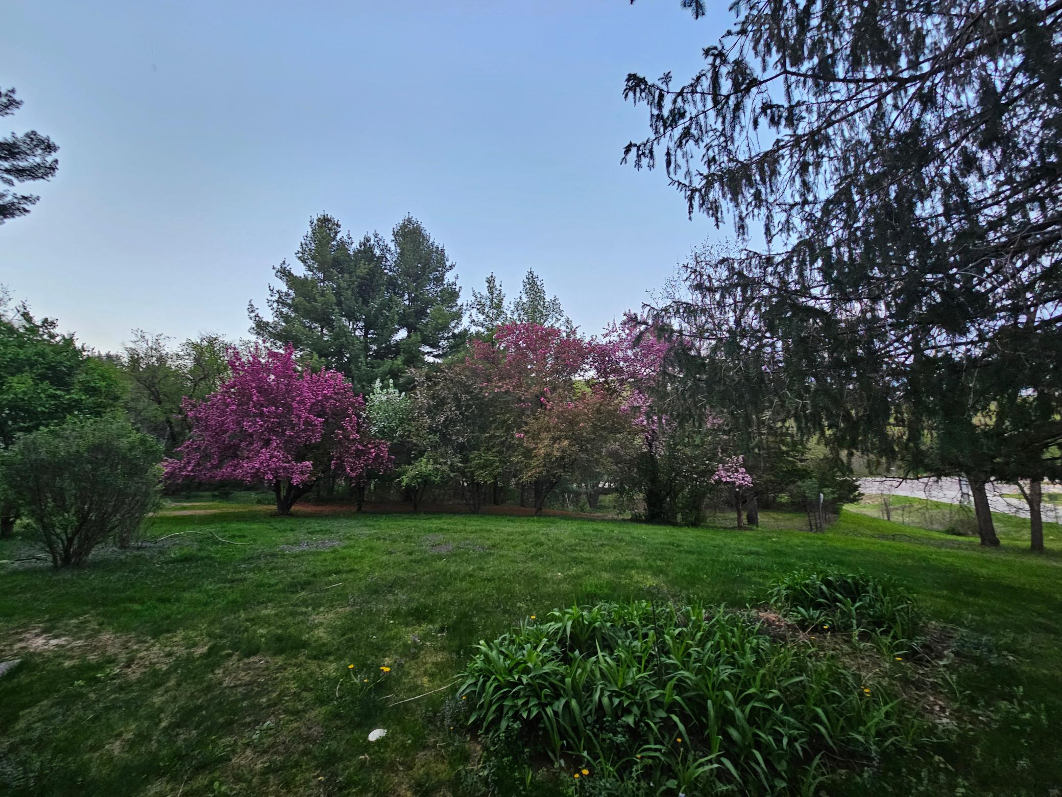 146 Green Spring Road