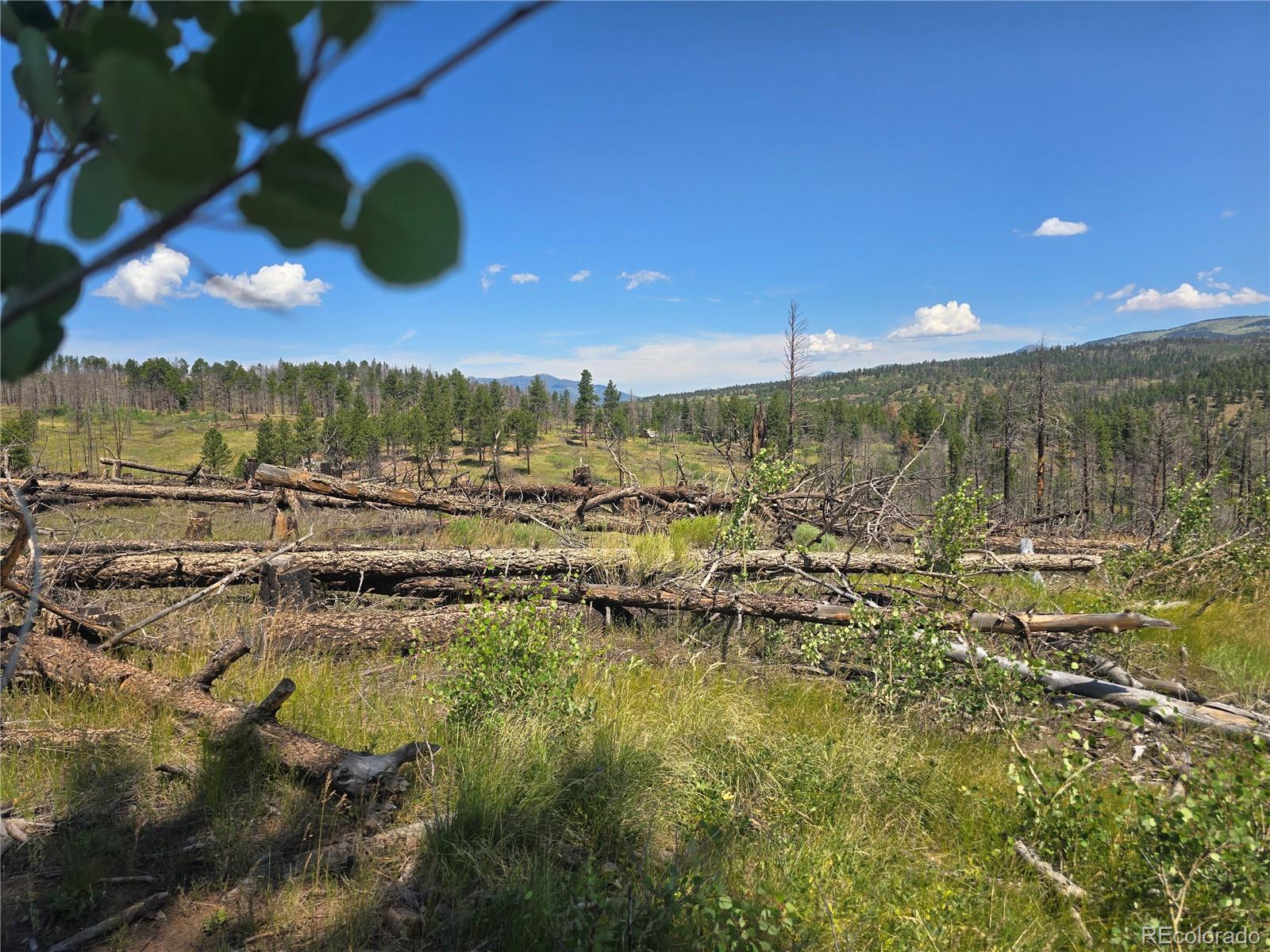 695 Cogbill Drive