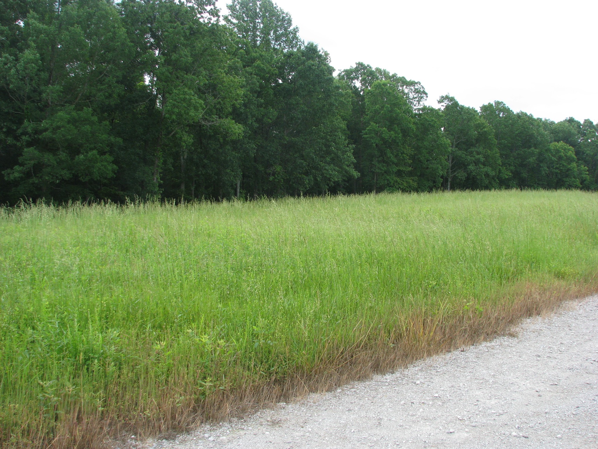0 Barge Lane