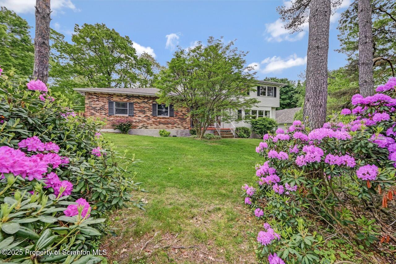 1001 Woodland Way