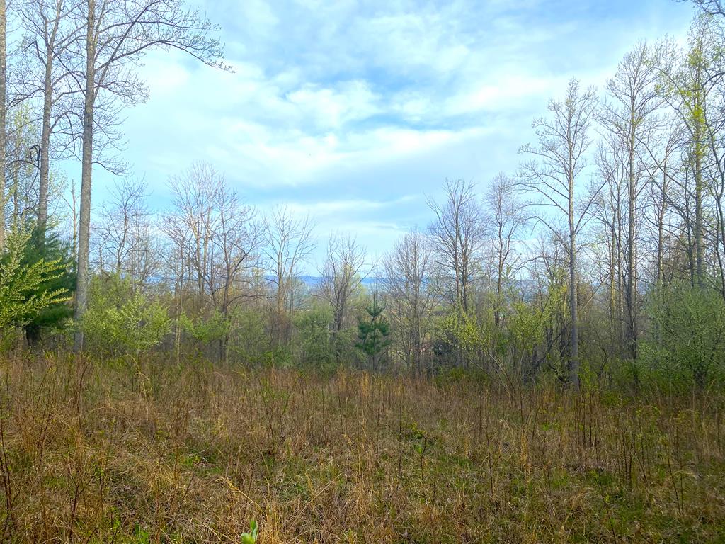 Land for sale in Galax, Virginia, 93820