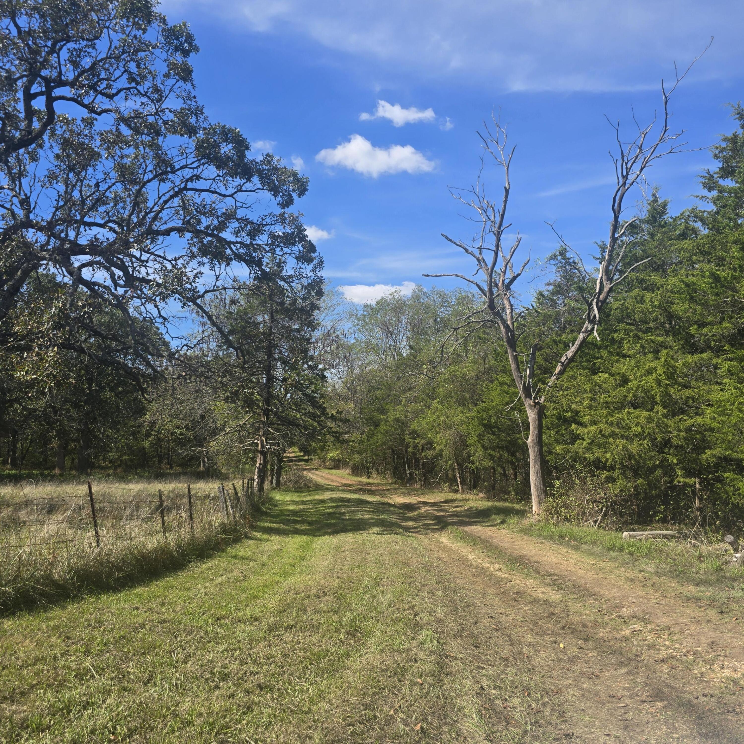 10806 N Farm Road 149