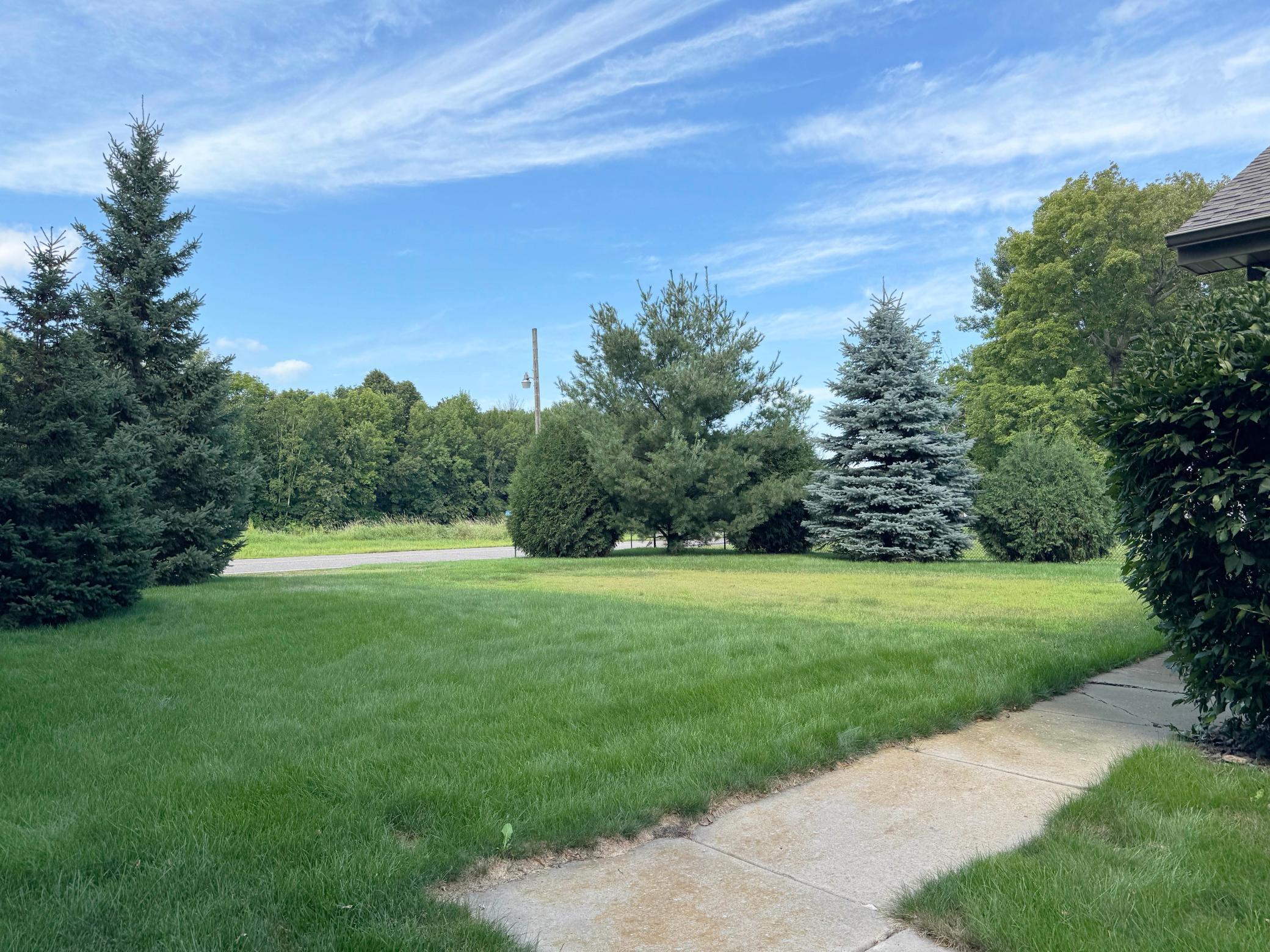 44205 Conifer Street