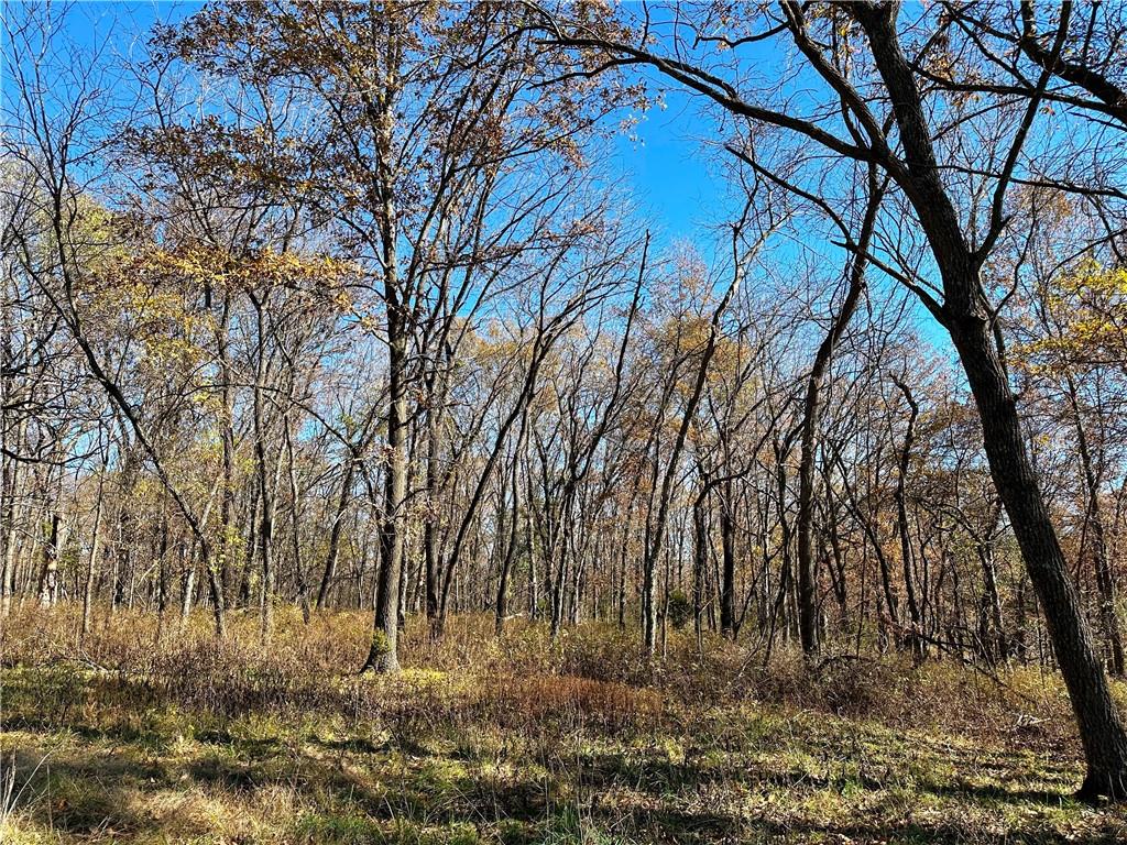 23158 Highway T N/A