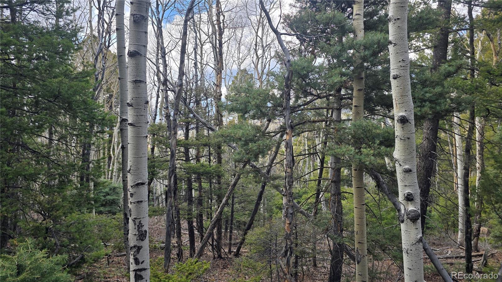 Lot 5261 Scott Road