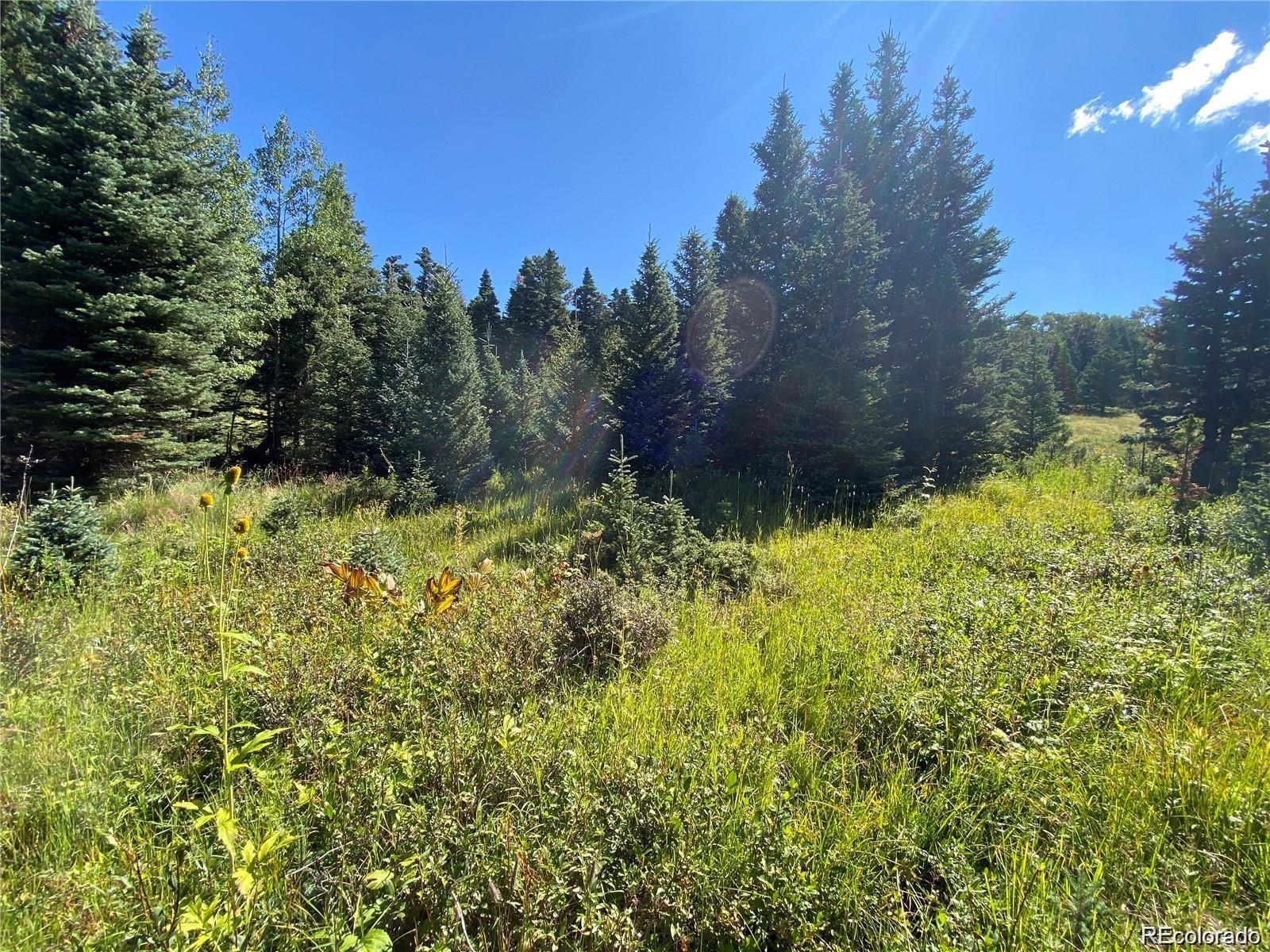 Lot 3141 Forbes Loop Road
