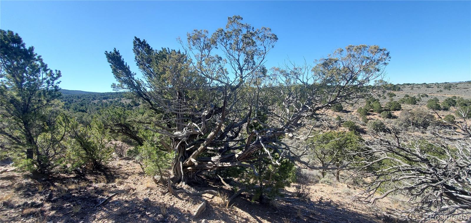 Lot 7356 Bidwell Road
