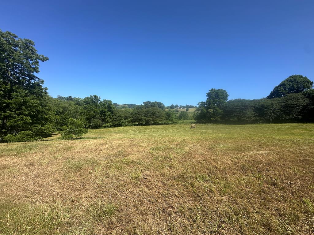Hunters Paradise! Here is your chance to snatch up 78 acres in the Fox Creek area of Grayson County. This land offers easy access with a flat open area at the entrance to build your dream home, or mosey up to the rustic cabin for a weekend getaway off-grid. You can hike the cleared trails or ride your ATV.  There are multiple hunting spots with proven results! Don't miss out on your chance to own a slice of Grayson County.