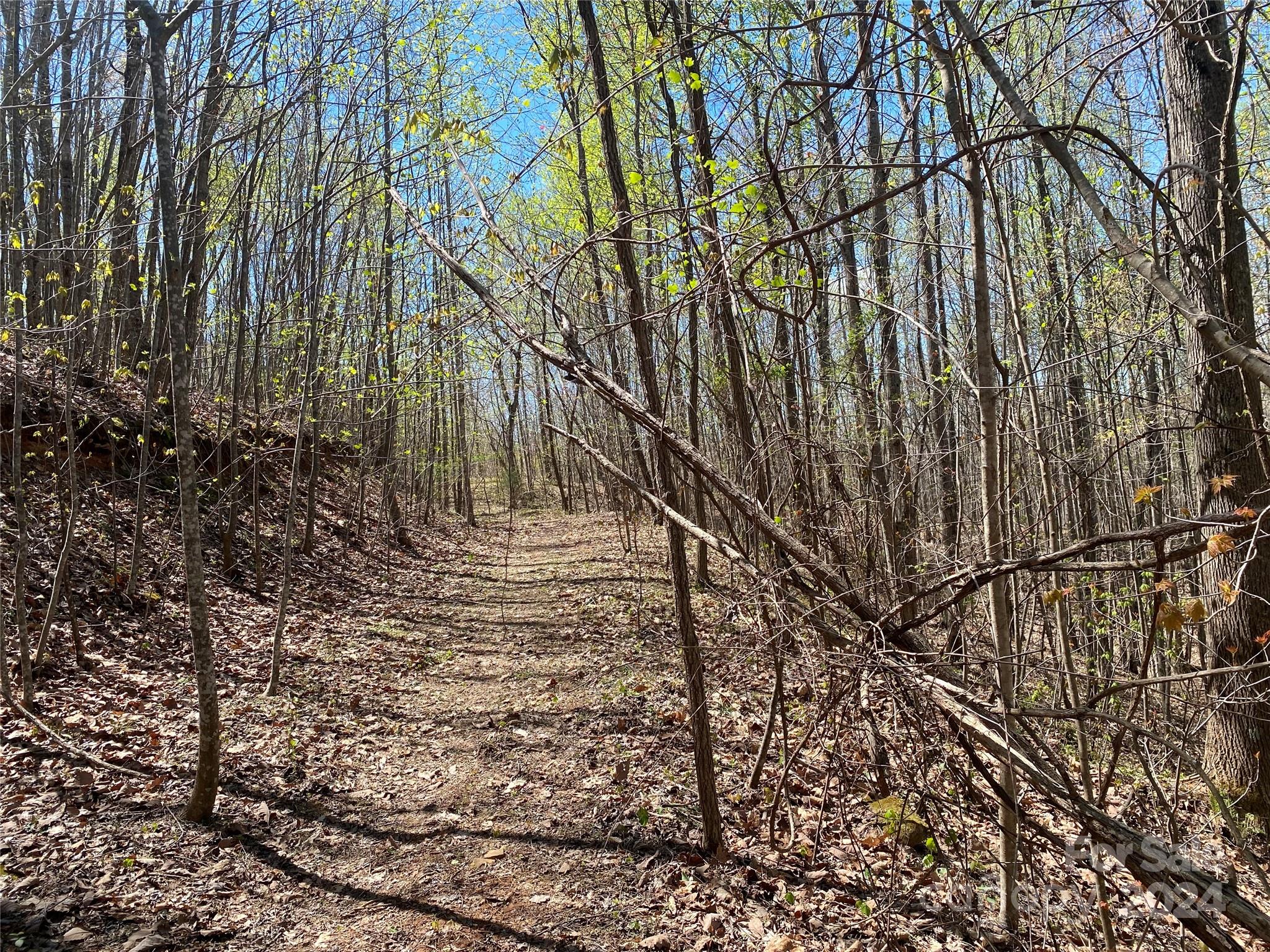 Lots 8,9 Wild Horse Drive