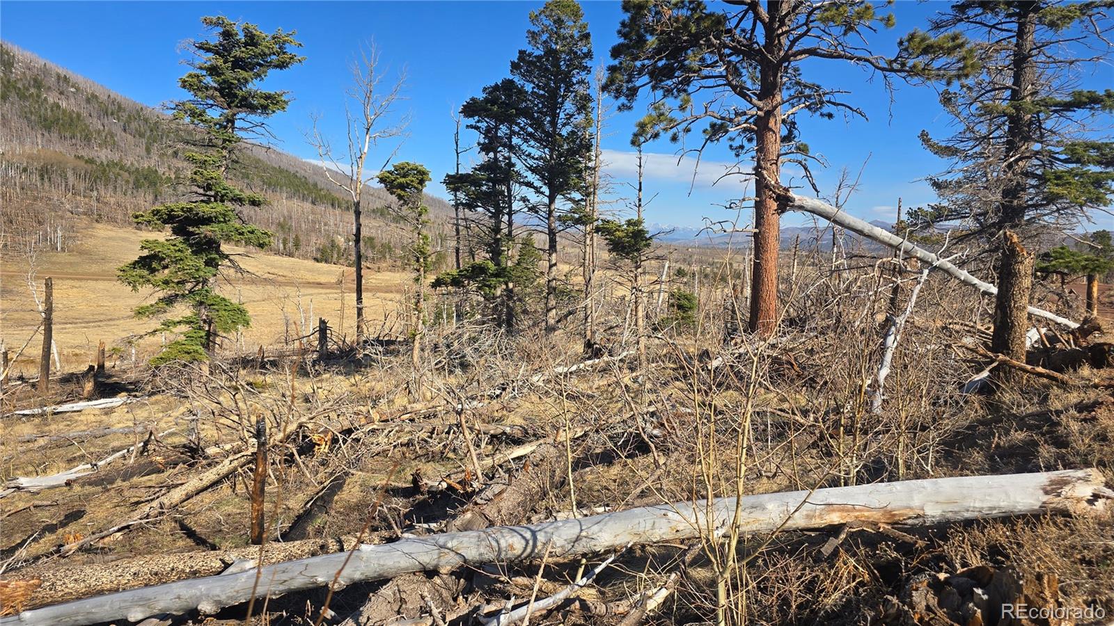 2334 Wohlstetter Loop