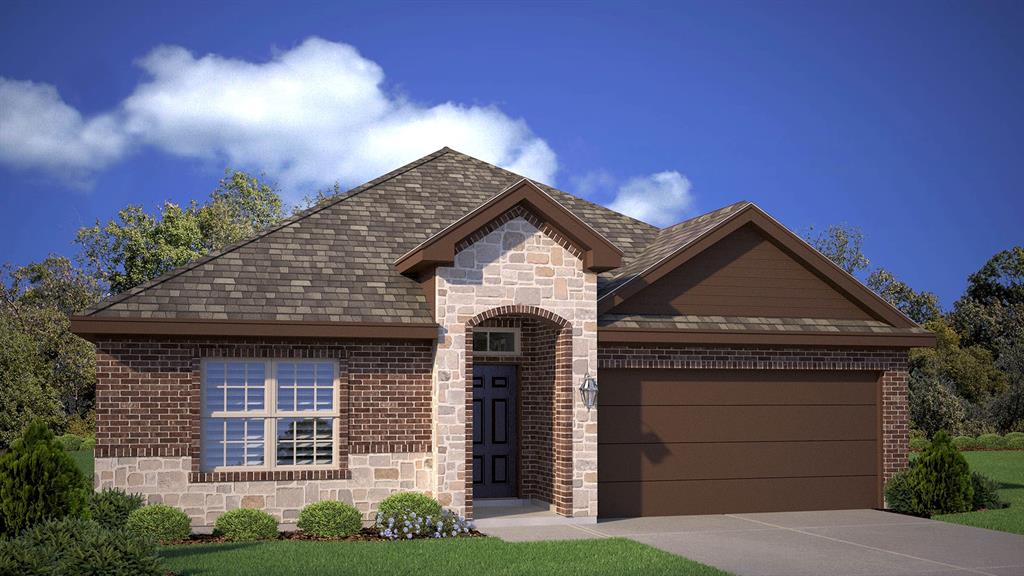 423  SUNDAY SILENCE Way , Granbury, TX, 