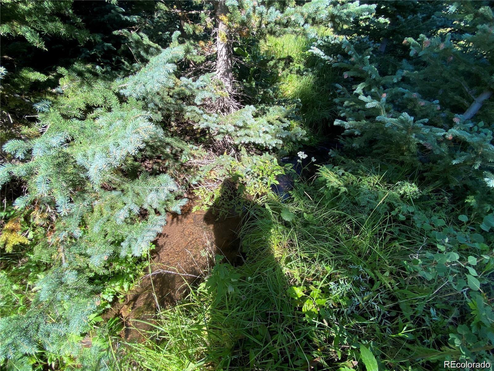 Lot 3141 Forbes Loop Road