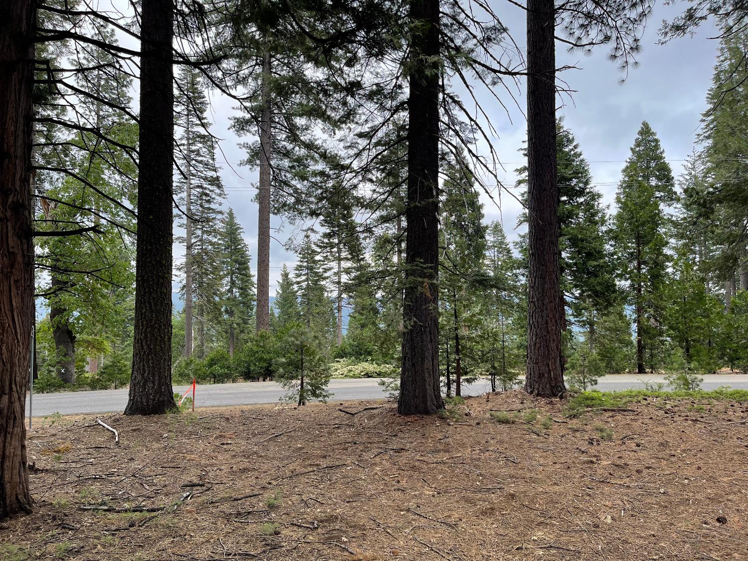 Land for sale in Camp Connell, California, 202300763