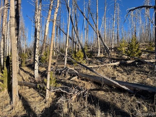 Lot 1502 Vonheyl Lane