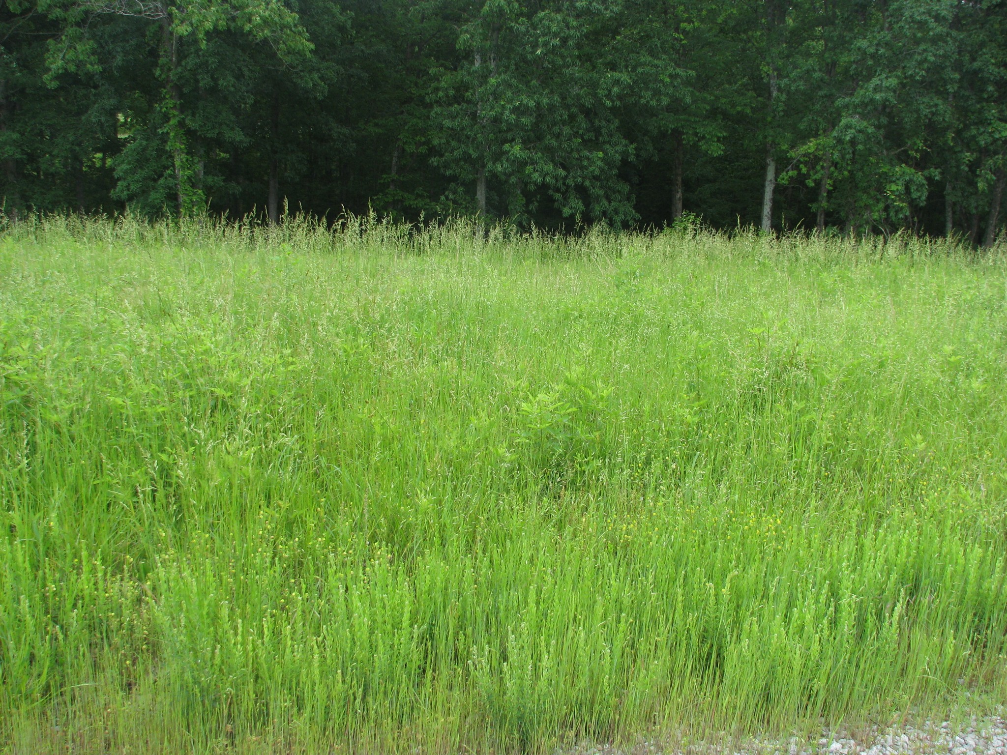 0 Barge Lane