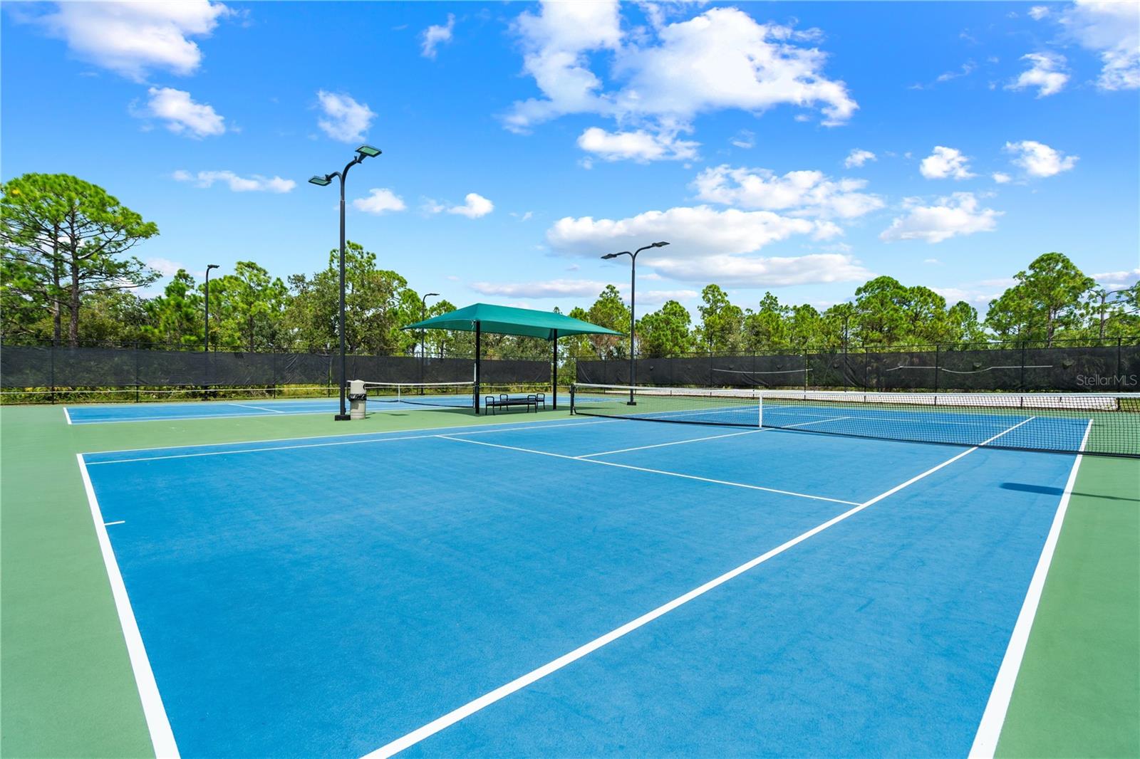 11815 Tempest Harbor Loop