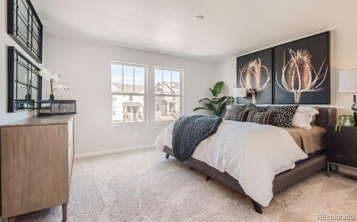 8156 Mount Ouray Road