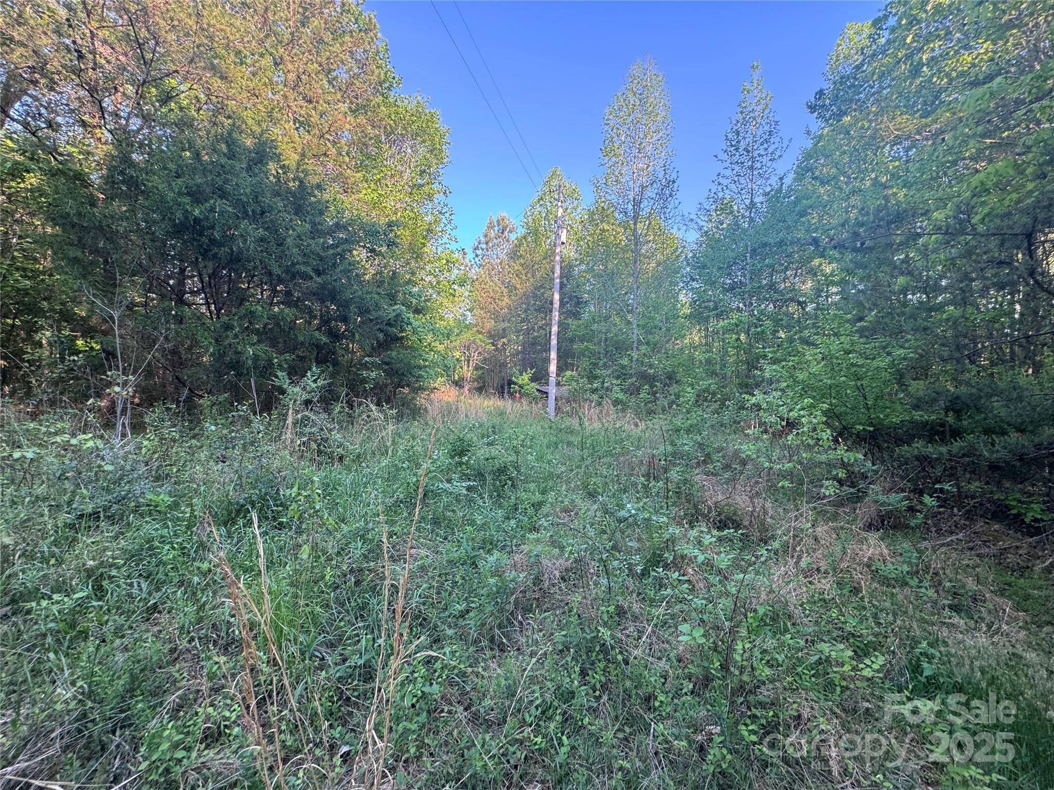 4675 Harmony Highway