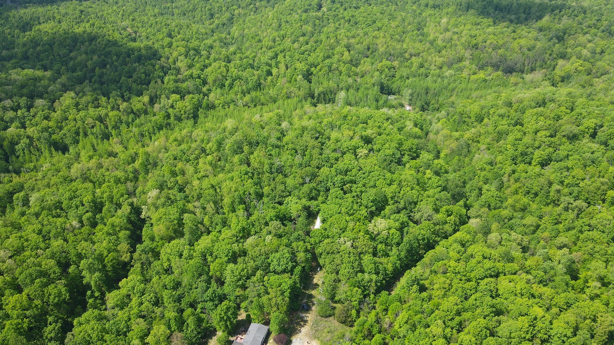 578 Cyclone Ln