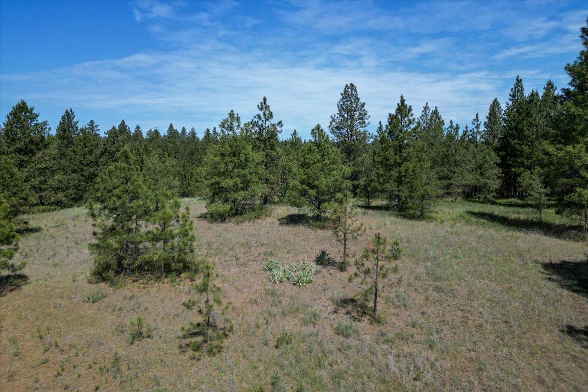 1305 E Wildflower Ln