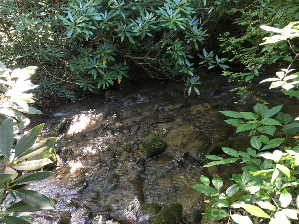 99999 Red Oak Forest Road