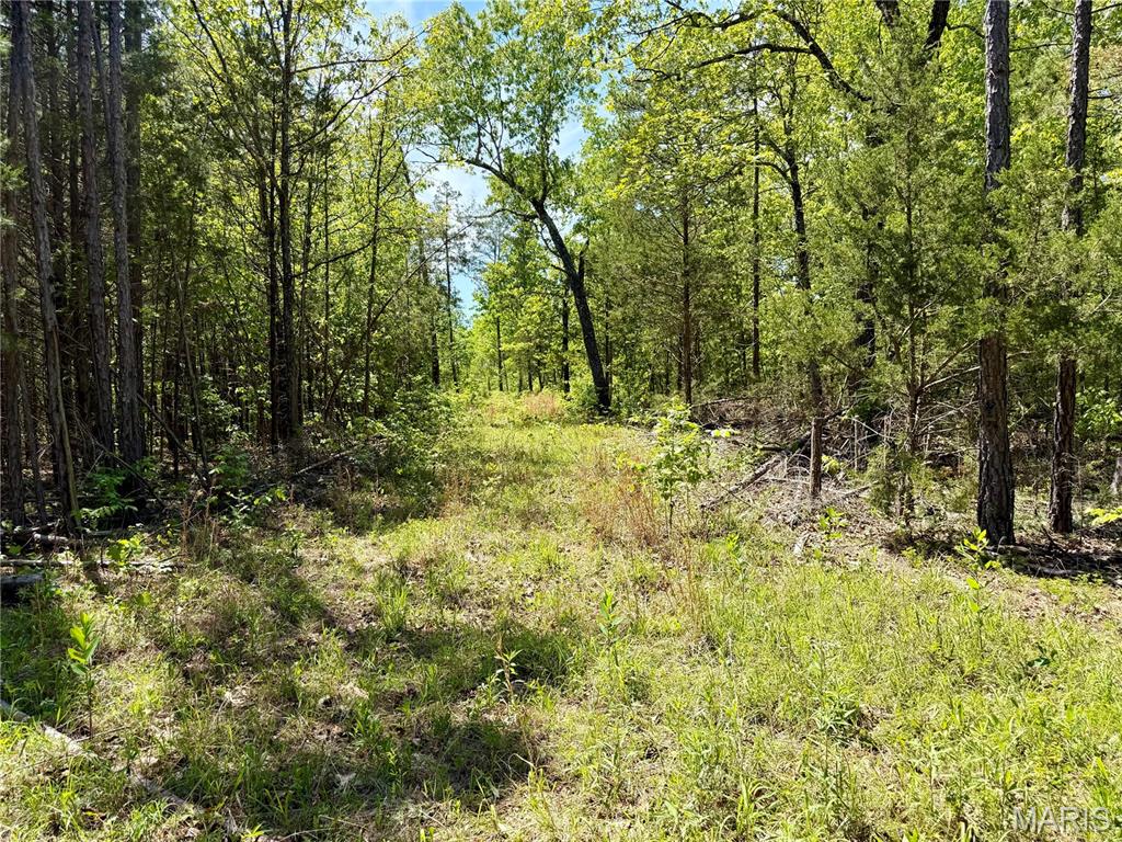 6 Furnace Creek Road