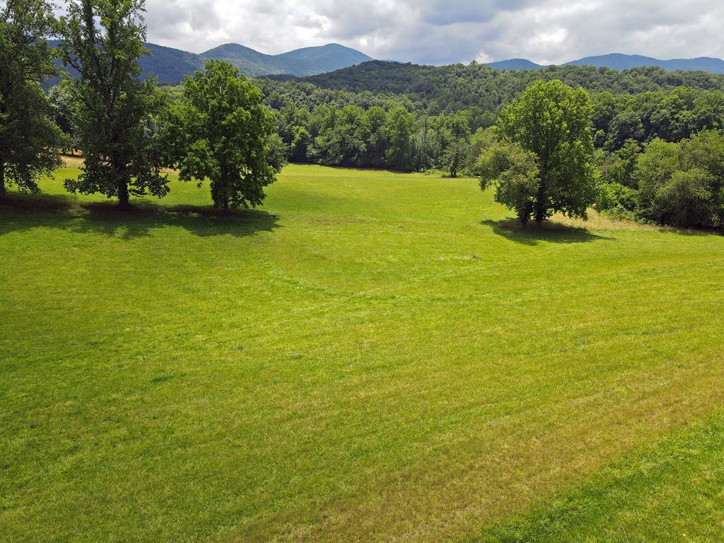 Rare opportunity to own a stunning 4.50-acre creekfront lot with breathtaking long-range, year-round mountain views in the Owltown Area. This easy-to-build homesite features a mostly level terrain with a gentle slope...ideal for a wide range of building plans. Level 3 soil testing already completed, saving time and expense. Enjoy minimal covenants designed to protect your investment. Conveniently located just minutes from downtown Blairsville, with close proximity to Brasstown Bald State Park, the Appalachian Trail, and Helton Creek Falls. A truly special property offering privacy, views, and natural beauty!  **This property is subject to a first right of refusal.**