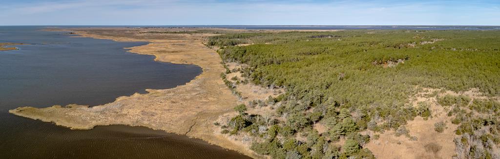 PRIME HUNTING PROPERTY  True Sportsman's paradise with creek access to Messongo Creek, leading to the Pocomoke Sound or a day on the Chesapeake Bay. Ideal property for avid hunters! An abundance of Wildlife of white tail deer, wild turkeys, ducks, waterfowl, rabbits, quail & fishing all in one incredible setting for hunters to enjoy year-round activities. Mix of uplands & marshland. Mature timber, easy rd. access, ideal for food plots, setting up targets, ATVS, boating, deer stands, duck blinds, camps, cabin or RV to create the perfect spot for family, friends, hunt clubs to relax & enjoy the outdoors. Rare opportunity to own one of the best all-around hunting properties on the market.  Buyer's do their own due diligence. May be subject to Chesapeake Bay Preservation Act.