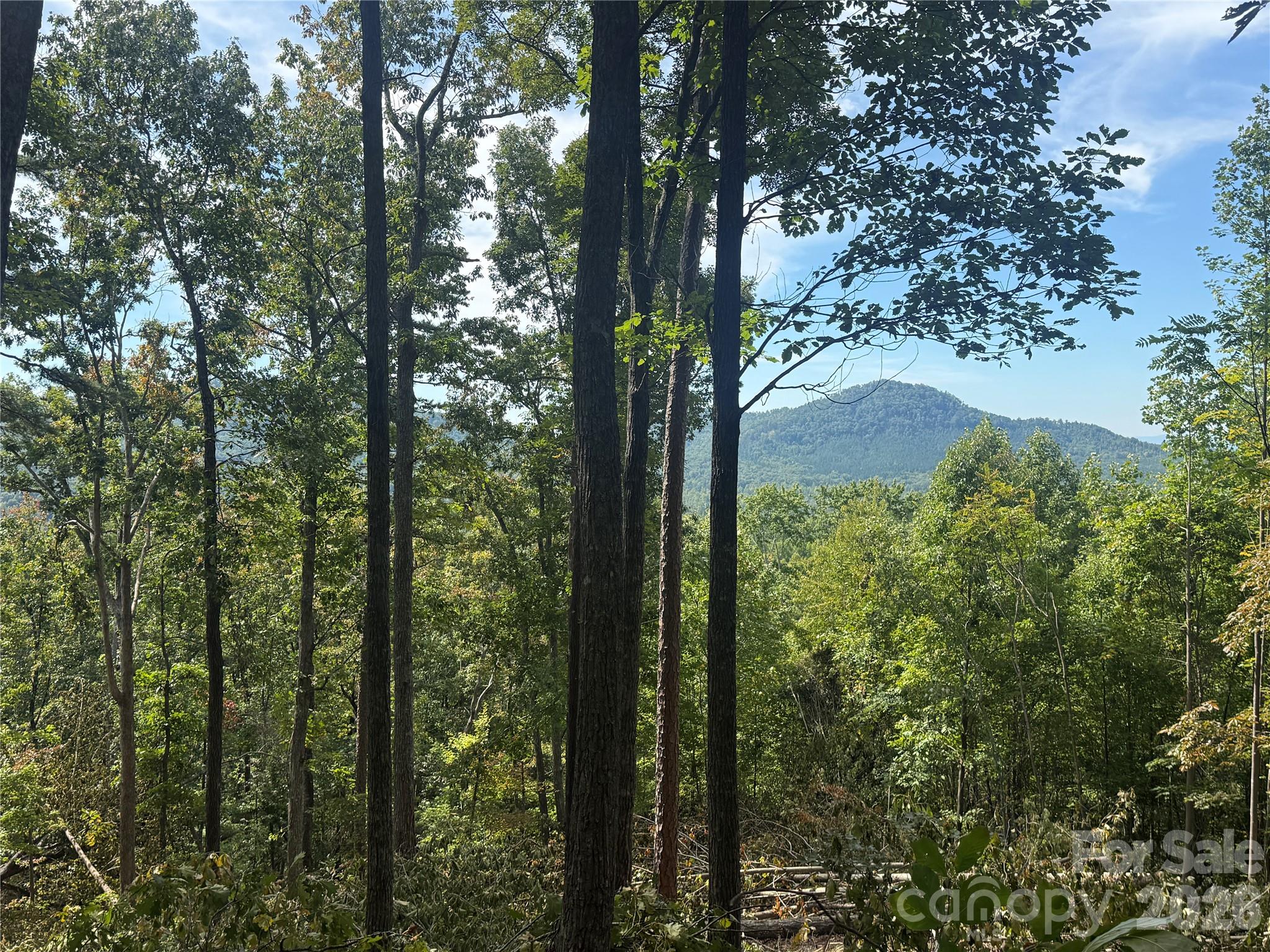 V/L Scenic Vista Drive 332/333
