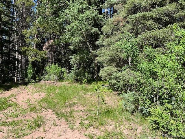 Lot 2893 Coder Place