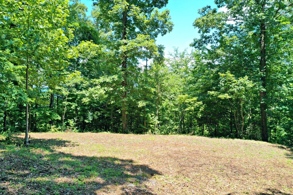 Oat Field Road