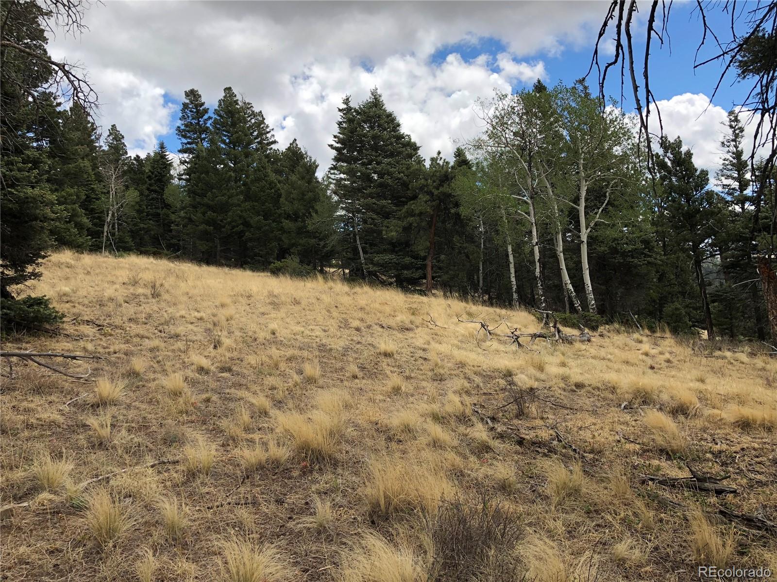 Lot 174 Ferris Place