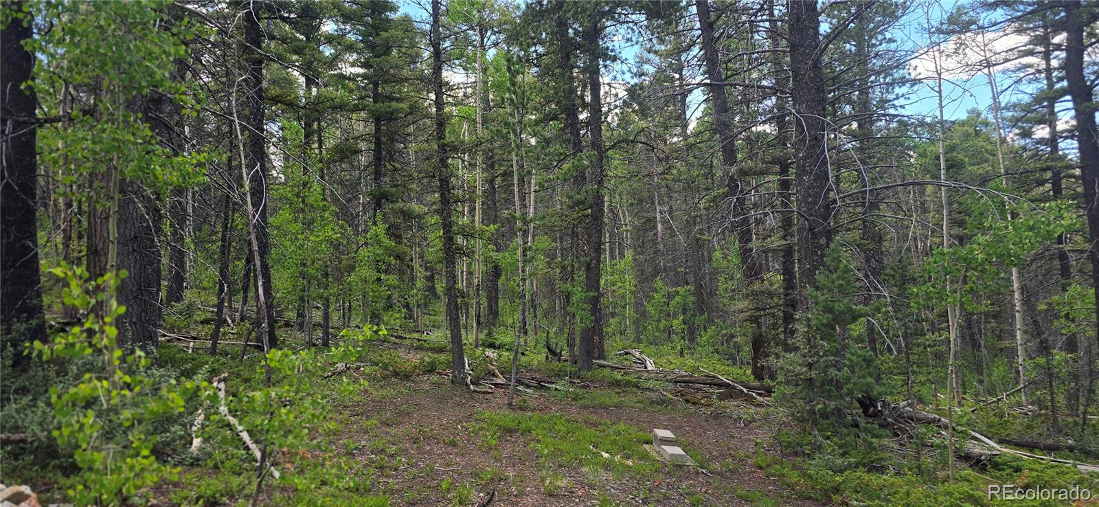 Lot 5778 Balleroy Road