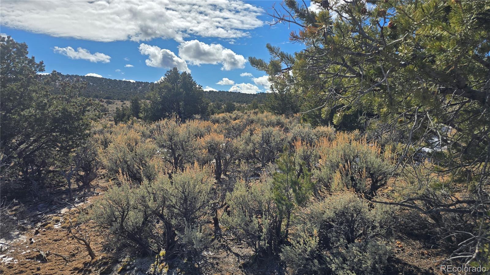 Lot 421 Sabine Road